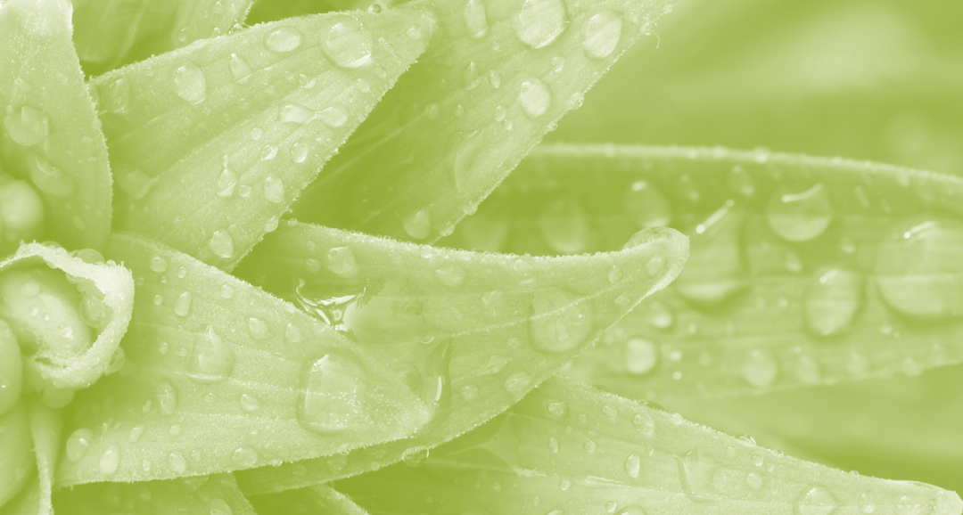 How to Lead People in a VUCA World: Lessons from Siemens Healthineers